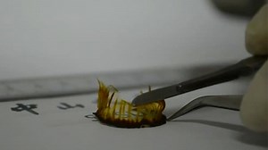 中国研究人员创造出硅“纸”：柔性电子革命终于到来了吗？