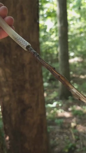 30K views · 423 reactions | DIY heated camp shower  #diy #camp #campshower #drybag #camping #outdoors #outdoorlife #campinglife #hiking #offgrid #offgridliving | Camping & Bushcraft | Facebook