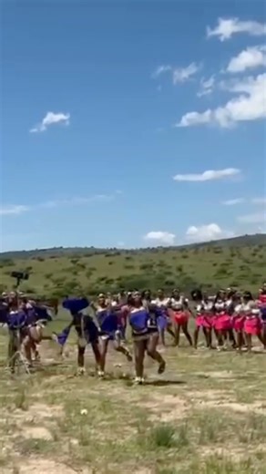 Zulu traditional dance|#wedding#dance#ceremony