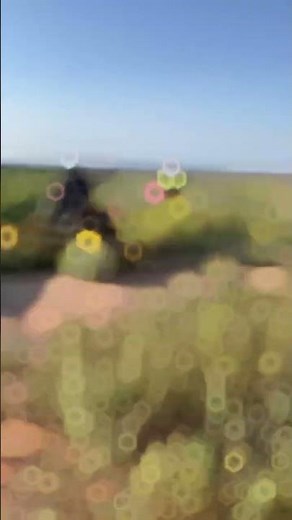 Solar Field Vegetation Management | Toro Mowers in Action 🌱