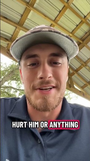 Possum in the live trap #wildlife #trapping #viral