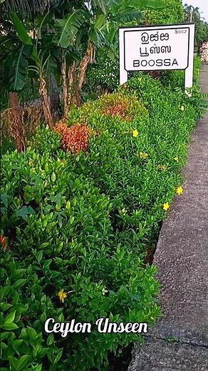 this is ceylon 💚🇱🇰☘️ #travel #trending #fyp