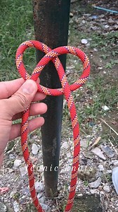 Simple knot. Ep.24 ( fixed loop ) #everyoneシ゚ #fblifestyle #reelsfbシ #reelsvideoシ #fbreels #reelsfypシ #foryouシ #reelsfb #tips #fb #diy #camping #rope #knot #tutorial | Iconic Knots