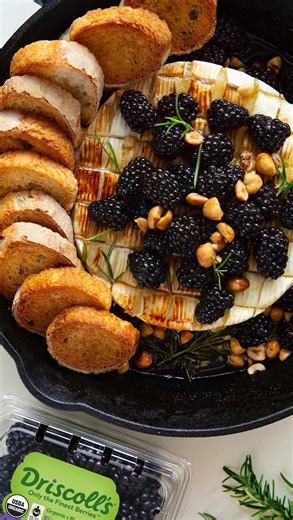 @thefeedfeed on Instagram: "(ad) This Skillet-Fried Brie is caramelized in honey, then topped with @driscollsberry blackberries, rosemary, and hazelnuts for a sweet & savory holiday appetizer 💜 Comment ‘RECIPE’ to have the details sent to your DMs and scan the QR code on their package to Taste & Rate your berries! INGREDIENTS: 1/3 cup hazelnuts, chopped 1 wheel Brie (16 ounces) 2 tablespoons olive oil 4 tablespoons honey, divided 1 tablespoon fresh rosemary, chopped 1/8 teaspoon flaky sea salt,