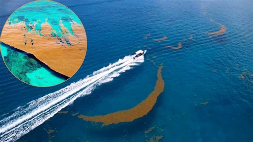 There's a mysterious ocean with no land on Earth and it's been hiding in plain sight for centuries