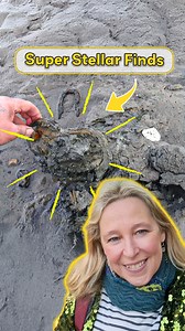 344K views · 7.2K reactions | Mudlarking Wonders: Stellar Finds | Nicola White Tideline Art | Facebook