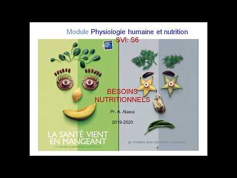 Cours (Séquence I : Besoins Nutritionnels) - Physiologie Humaine et Nutrition