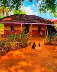 Beautiful Houses of Goa 🏡 #housesofgoa #goanhouses #amchegoa | Amche Goa