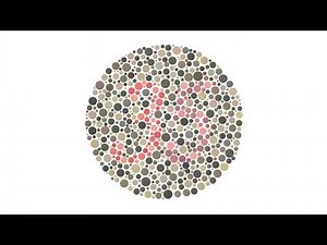 Ishihara Plate 24 — Classification (Normal: 35 · Protan: 5 / Deutan: 3)