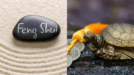 Why is tortoise considered sacred in feng shui? What’s the right way to place it