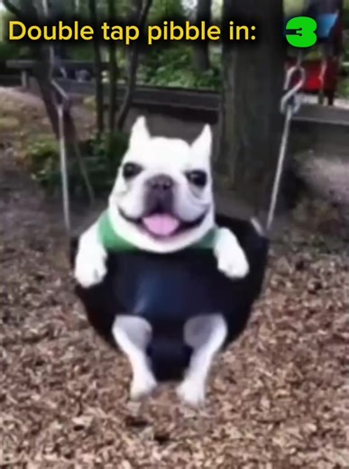 Explore Undertale's Memorable Fights