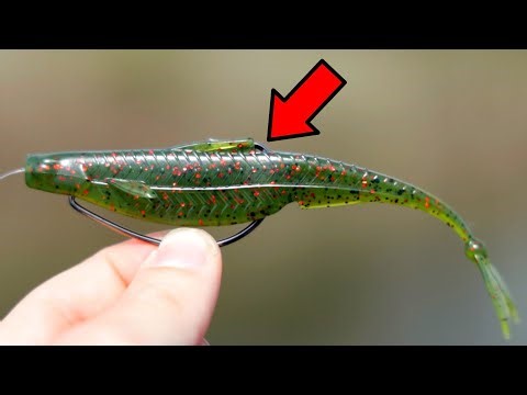 The PERFECT Fluke Fishing Setup!