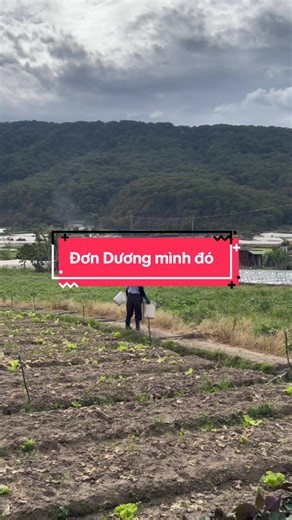 Tự hào về quê hương: Đồ nhà quê đáng quý