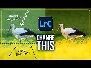 Use THIS TRICK to bring MORE FOCUS on Your Subject (Lightroom Tutorial)