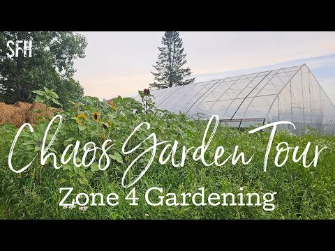 July Garden Tour - Zone 4 Gardening