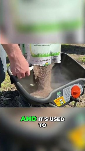 Transform Your Lawn: Understanding Lime as a Soil Amendment