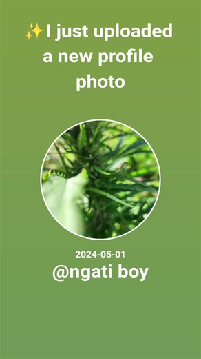 ngati boy (@ngati.boy4)’s videos with sonido original - 𝙇𝙖𝙬𝙧𝙚𝙣𝙘𝙚𝙅𝙤𝙝𝙣𝙣𝙮