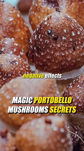 Exploring the Dark Secrets of Portobello Mushrooms