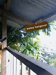 #classic #ballad #music | Ryan Music TV