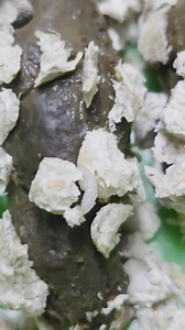 5.2K views · 33 reactions | WARNING - WARNING - WARNING - WARNING -...