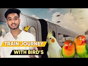 Train Journey with Birds 🦜 / Train Journey with Pets