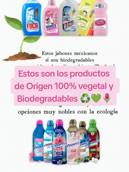 Productos Biodegradables y Ecológicos que Uso