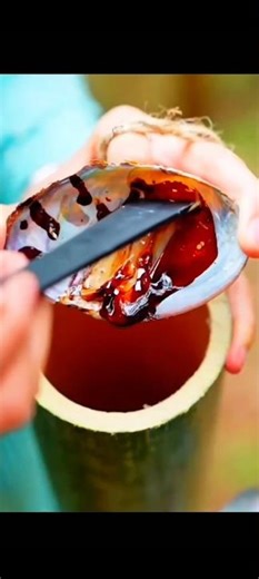 How people collect natural tree sap using traditional methods 🌳. | #Facts#InterestingFacts#Amazing