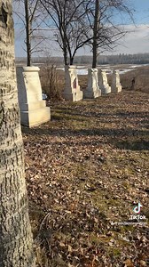 Revisiting Ervin Reed and the Garrity cemetery | Past Preservation