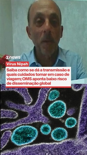 Vírus Nipah: saiba como se dá a transmissão e quais cuidados tomar em caso de viagem. A Organização Mundial da Saúde (OMS) dispensou restrições de viagem à Índia e apontou baixo risco de propagação global. ➡️ Assista à #GloboNews: http://glo.bo/2Mxn1fC #JornalGloboNews | GloboNews