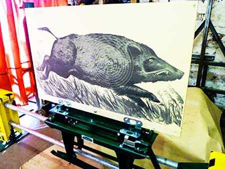 Promatic Inc. Introduces the Running Boar Target