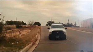 VIDEO: Cowboys rope stray cow in wild police chase