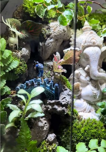 Creating a Stunning Paludarium with Waterfall Features
