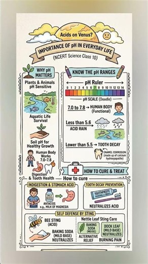 Why is pH So Important? 🤔 | Everyday Life Chemistry#class10