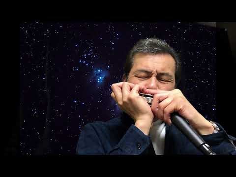 クロマチックハーモニカ ジャズ Star Dust Chromatic Harmonica jazz