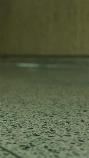 4.1K views · 4 comments | Am 11. September kommt der neue Film „HONEY DON‘T!“ von Ethan Coen in die deutschen Kinos! ✨ Die Privatdetektivin Honey (Margaret Qualley) nimmt den mysteriösen Tod eines jungen Mädchens in Bakersfield unter die Lupe. Ihre Ermittlungen führen sie zu einer rätselhaften Kirche und zu einer Serie seltsamer Todesfälle. Wer schaut sich den Film an?  Bildcredits: @universalpicturesde #honeydont #film #kino #trailer | freundin | Facebook