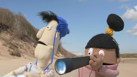 Seaside animals - BBC Bitesize