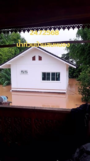 kikapoo บน TikTok