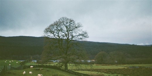 Dumfries and Galloway: -Top 10