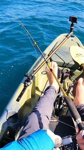 Deep sea kayak fishing - Big fish in Panama