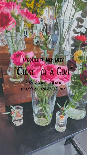 tocolier flower week「Closet of a Girl」｜冬に映える大人ピンク｜ラナンキュラス・原種チューリップなど💐 #flowerweek #flowers #florist