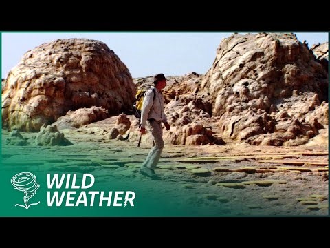 The Great Rift Valley - How Plate Tectonics Shaped Human History