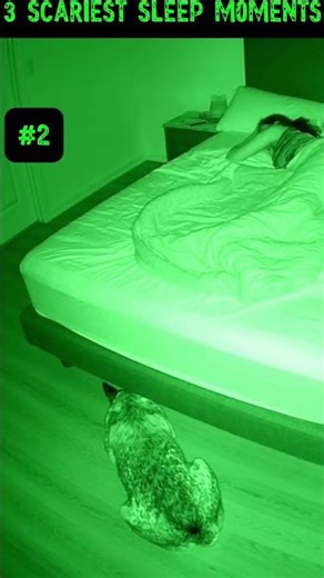 Top 3 Scariest Sleep Moments caught on camera! #paranormal #cat #dog