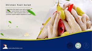 frozen chicken paws manufacturer, suppliers, distributors, wholesalers, companies in USA