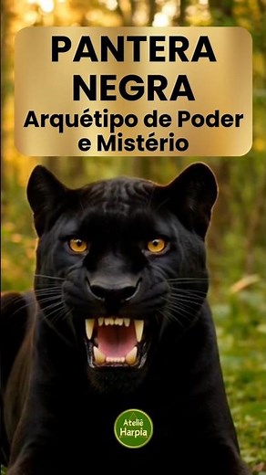 Pantera Negra: Poder em Silêncio #arquetipos