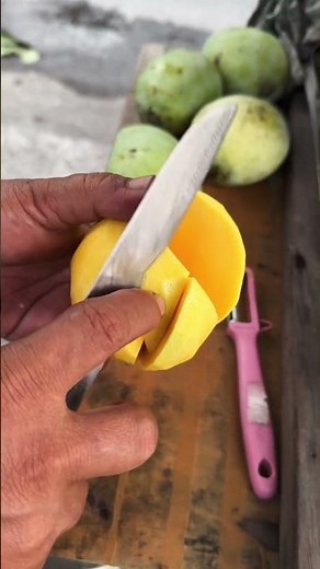 How to make mango flowers with a turnover of 2 million a day