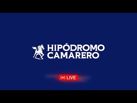 Hipódromo Camarero Live Stream