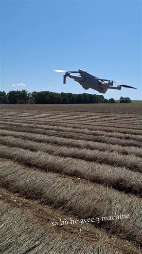 après quelques semaines de l'arrachage, le retournage du lin d'hiver avec 3 machine dans le même champs.💨💨👌 abonnez vous!!! #cielbleu #pourtoii #agriculture #ete2025 #depoortere #lin #beautifull #drone @quentingrevet
