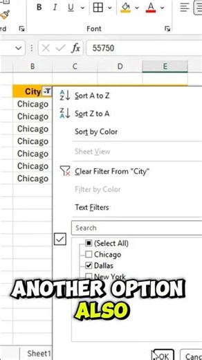 🖱️ Filter Data Using Only Your Mouse in Excel | No Keyboard Needed!