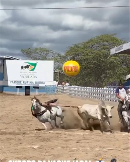 WAR IS GENERATED IN THE CONGRESS CLASSIFICATION #naradinha