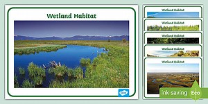 Wetland Habitat Poster Pack